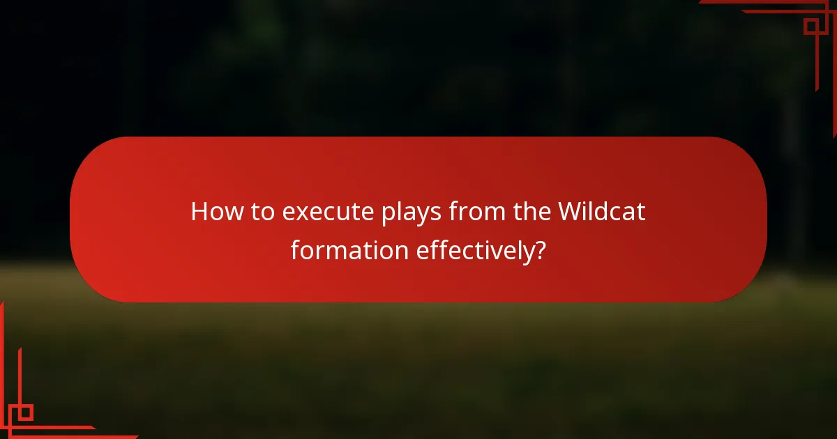 How to execute plays from the Wildcat formation effectively?
