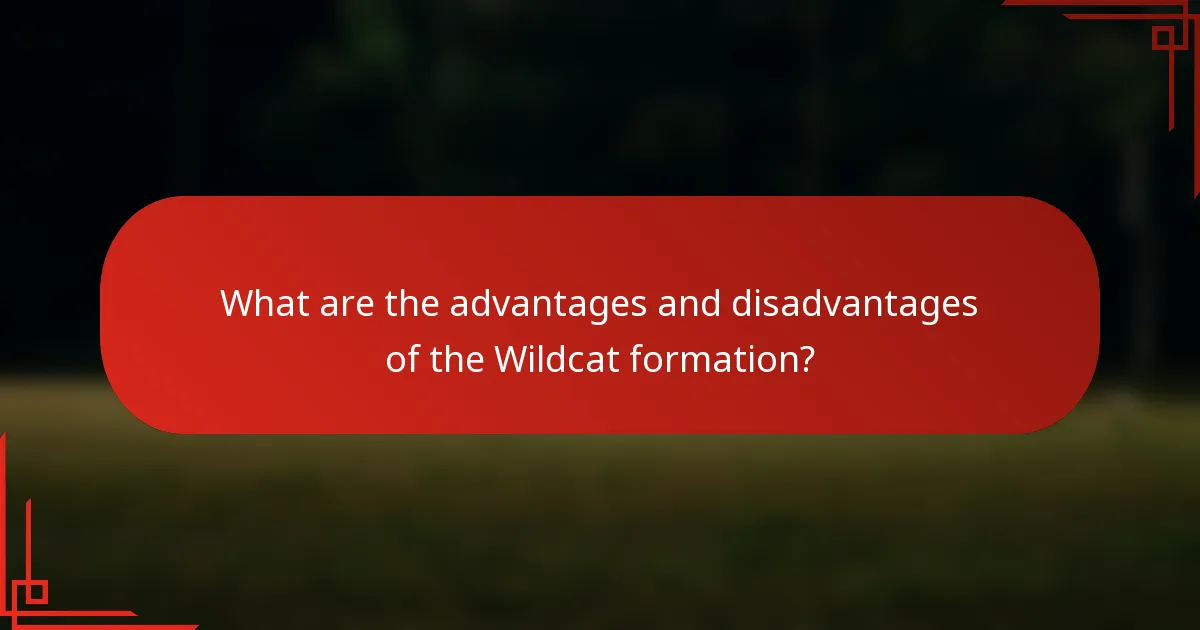 What are the advantages and disadvantages of the Wildcat formation?