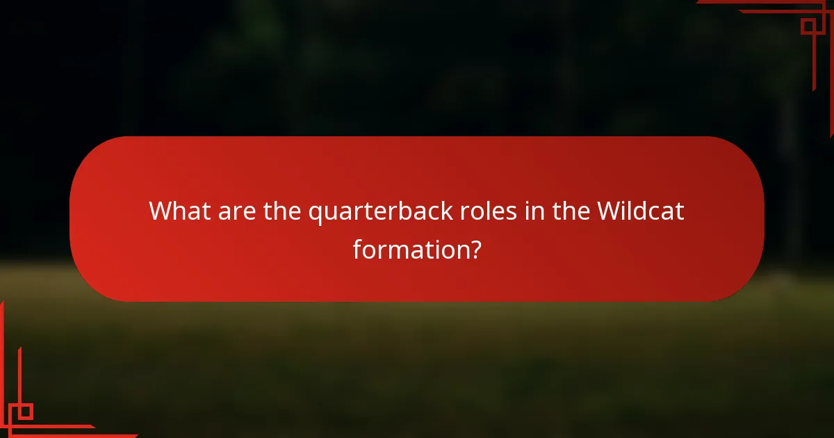 What are the quarterback roles in the Wildcat formation?